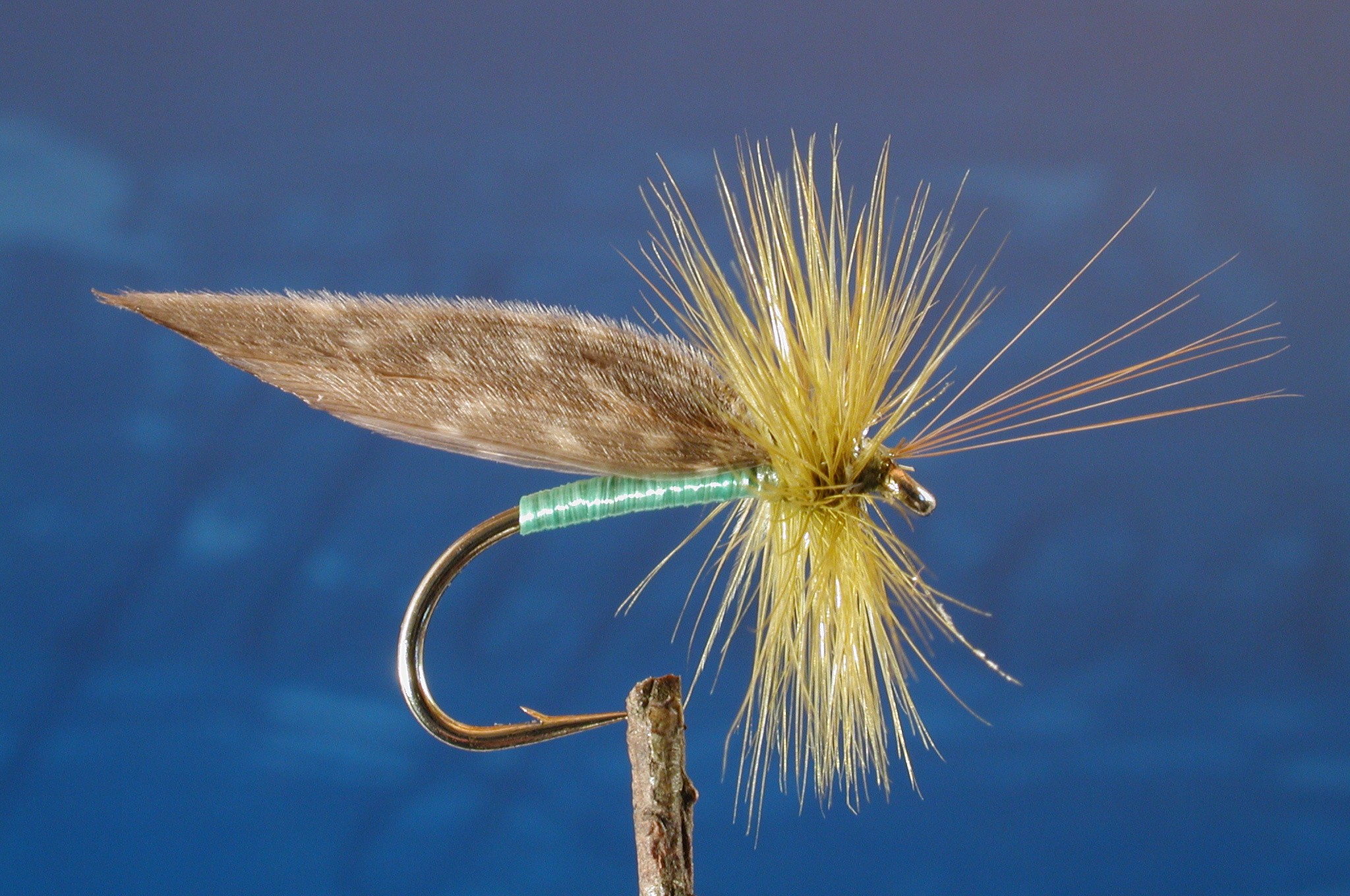 Green Caddis Fly Fishing Flies with Fish4Flies Worldwide